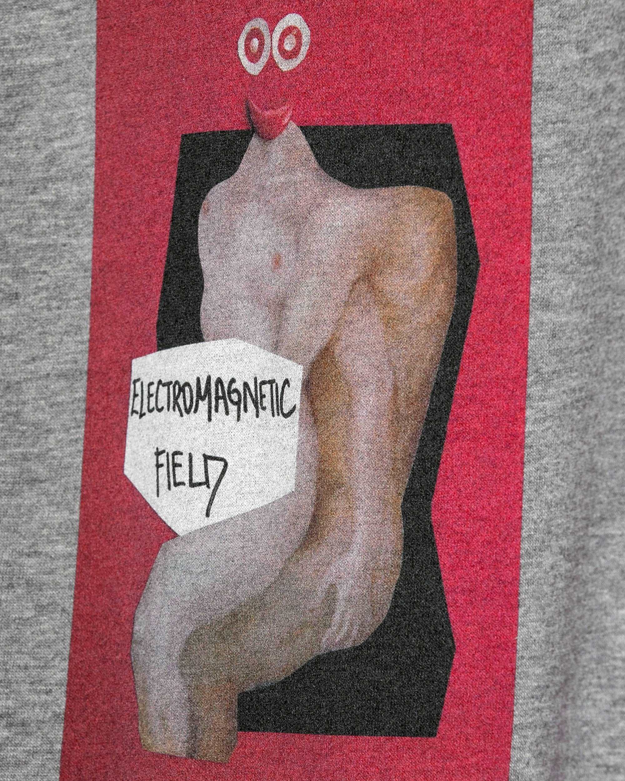 Electromagnetic field Hoodie / Heavyweight Fleece