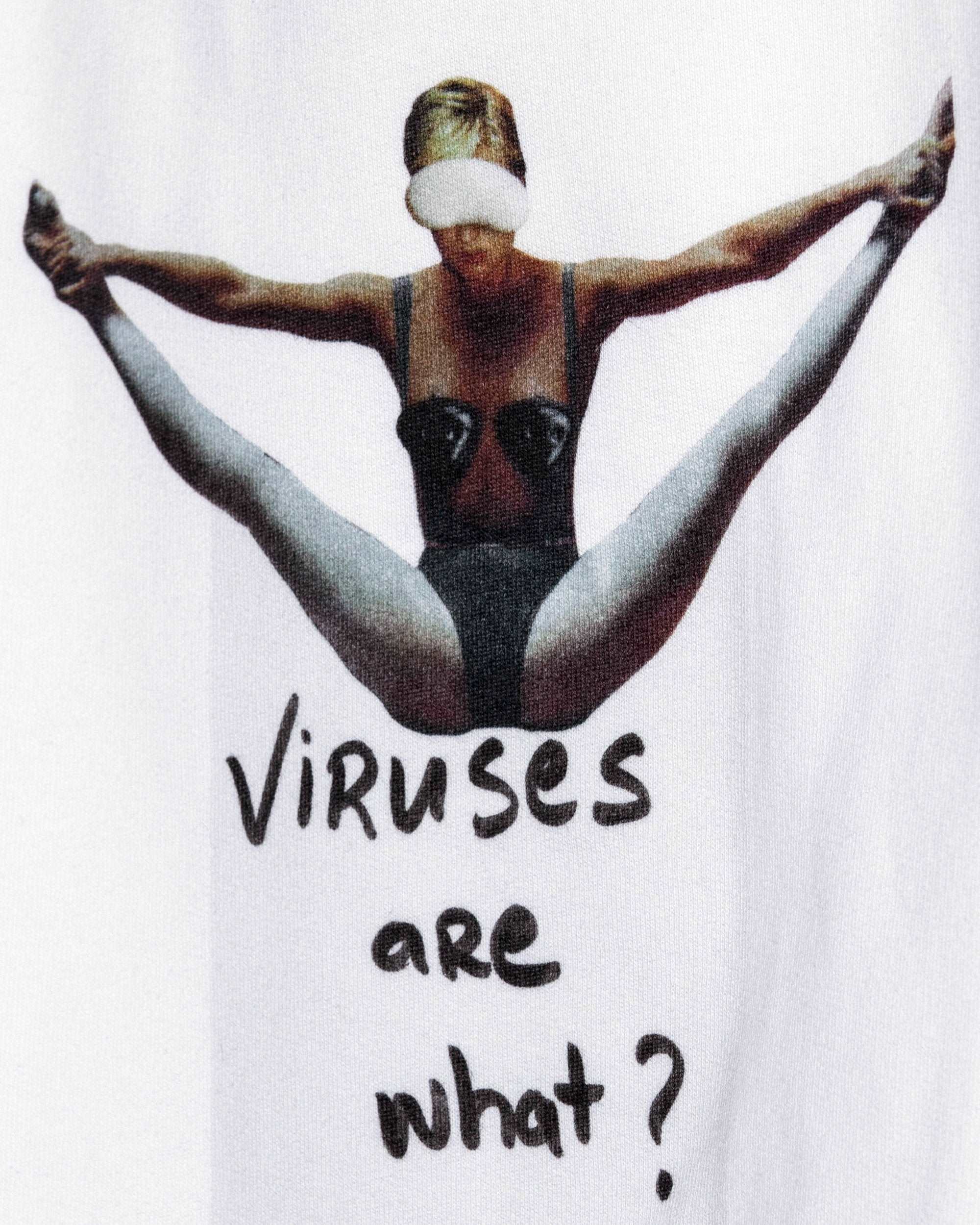 Viruses are what Hoodie / Heavyweight Fleece