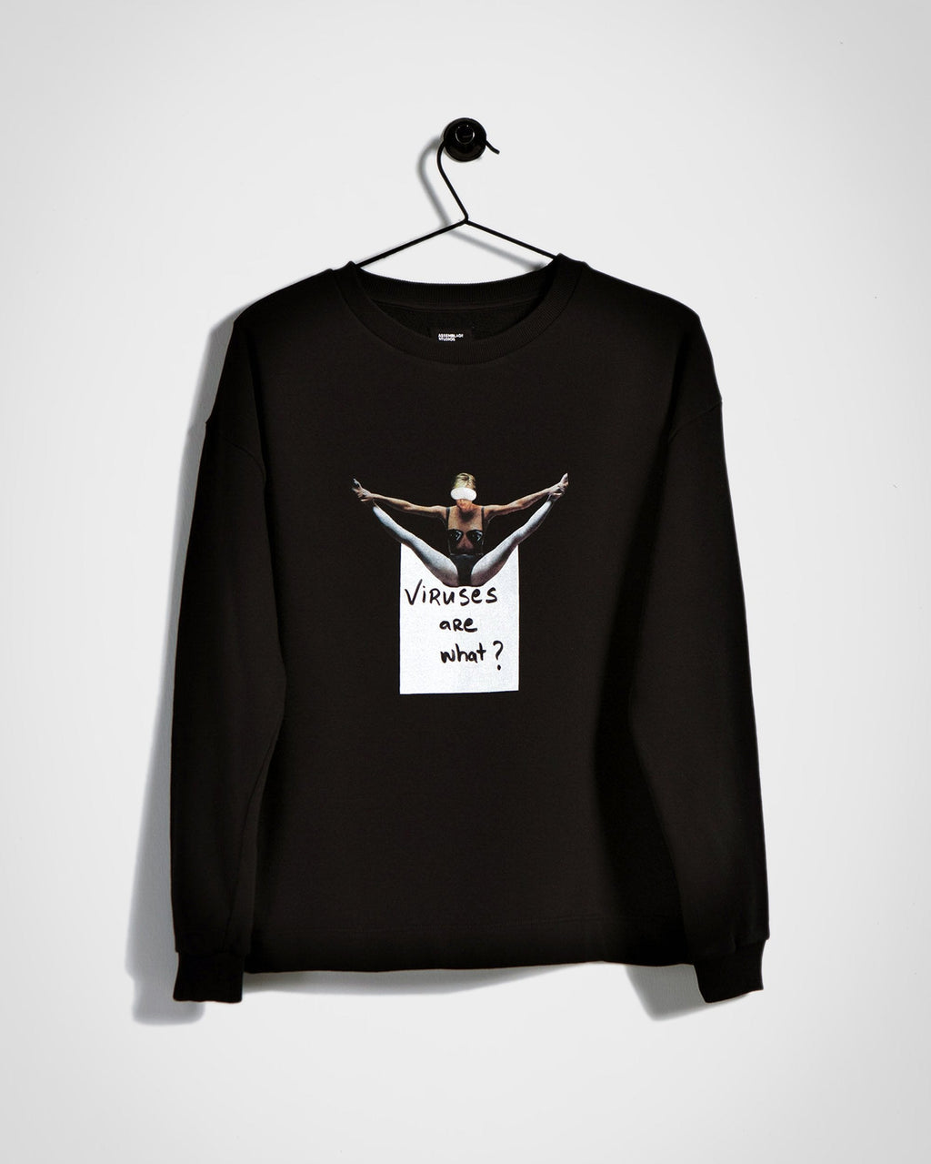 Viruses are what Sweatshirt / Terry