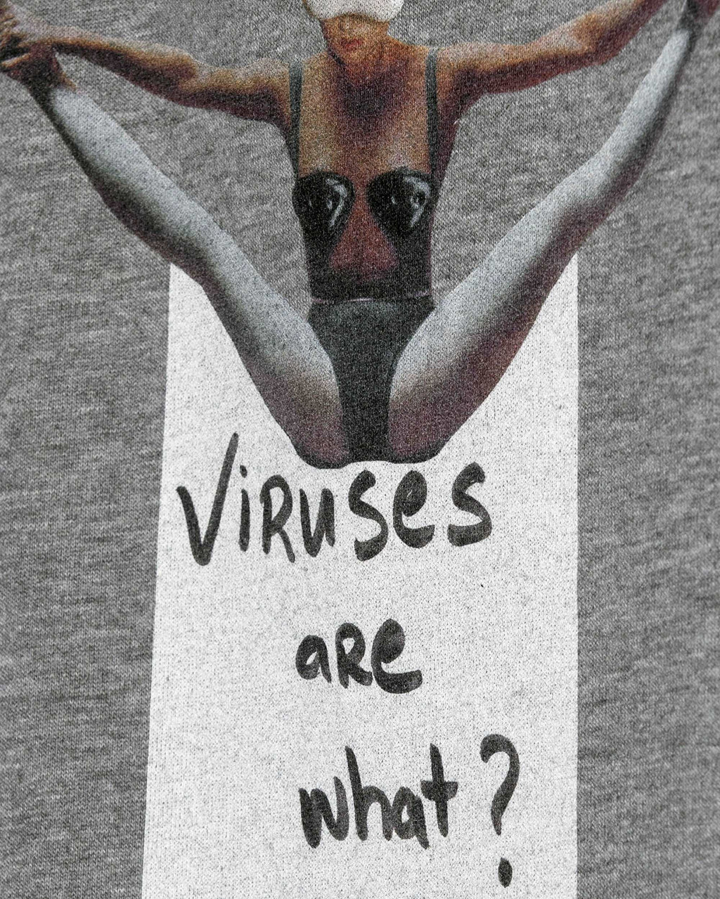 Viruses are what Hoodie / Heavyweight Fleece