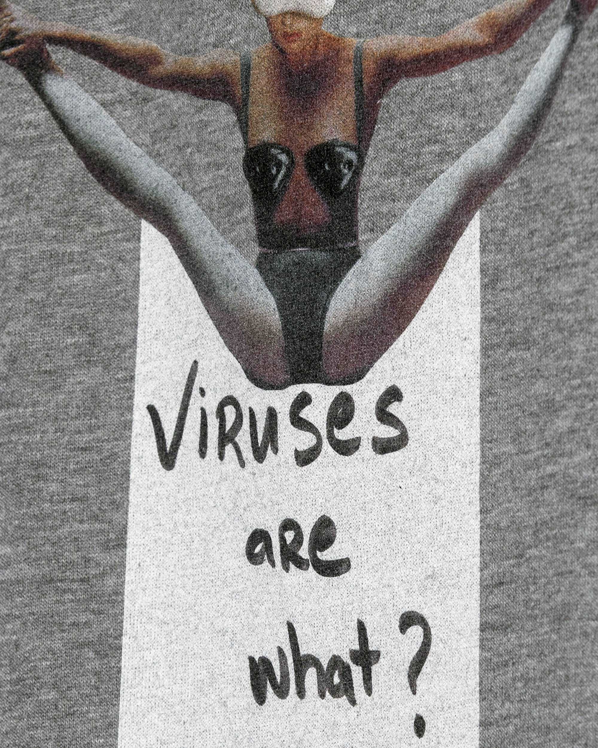 Viruses are what Hoodie / Heavyweight Fleece