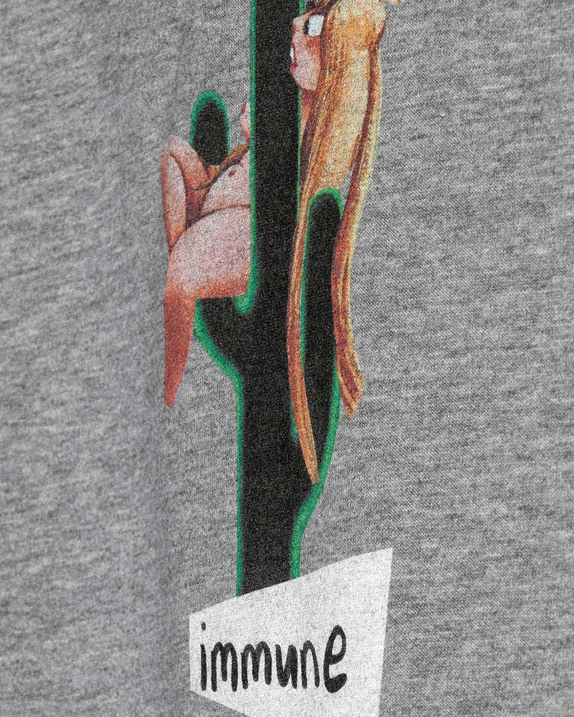 Immune Hoodie / Heavyweight Fleece