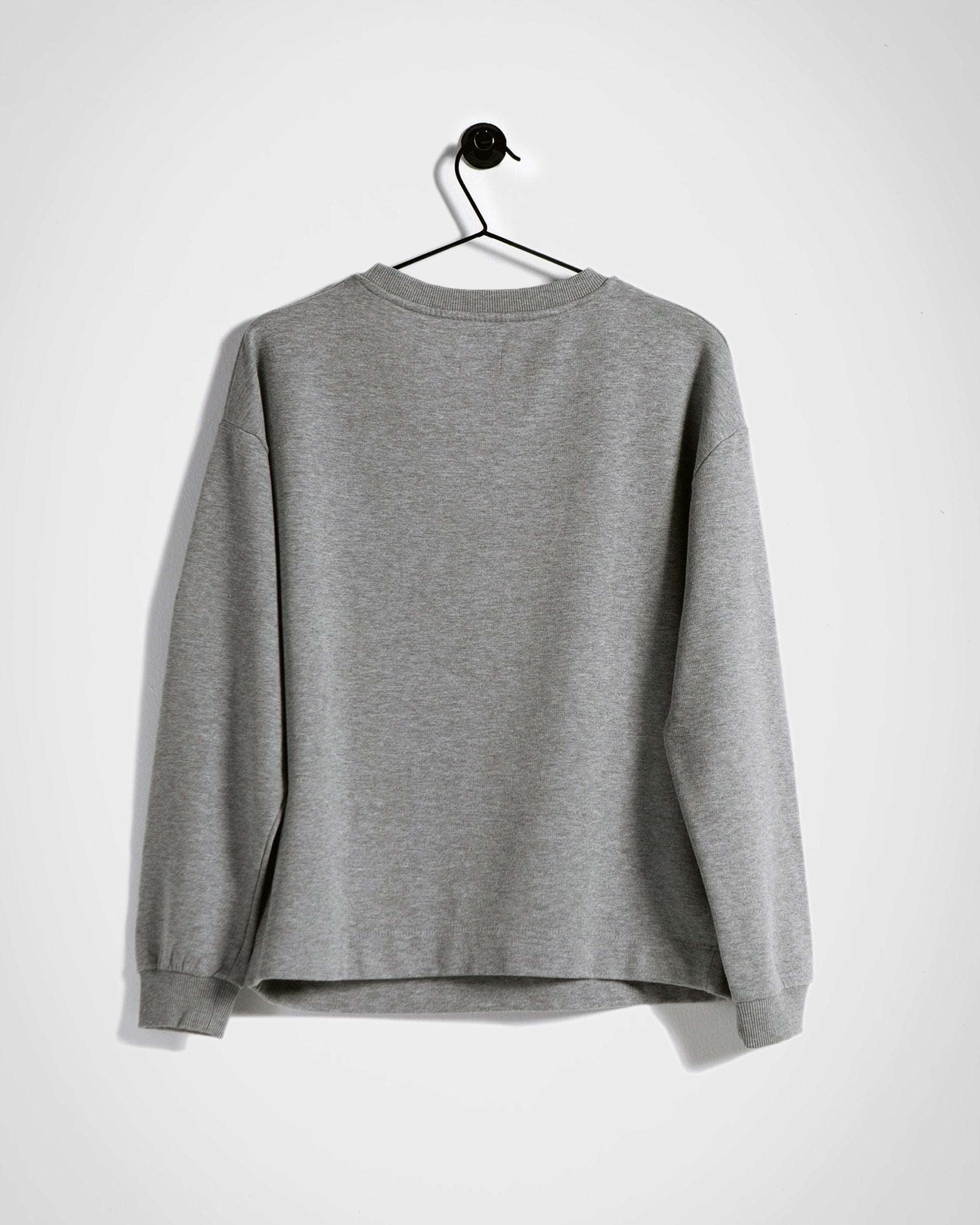 Viruses are what Sweatshirt / Terry