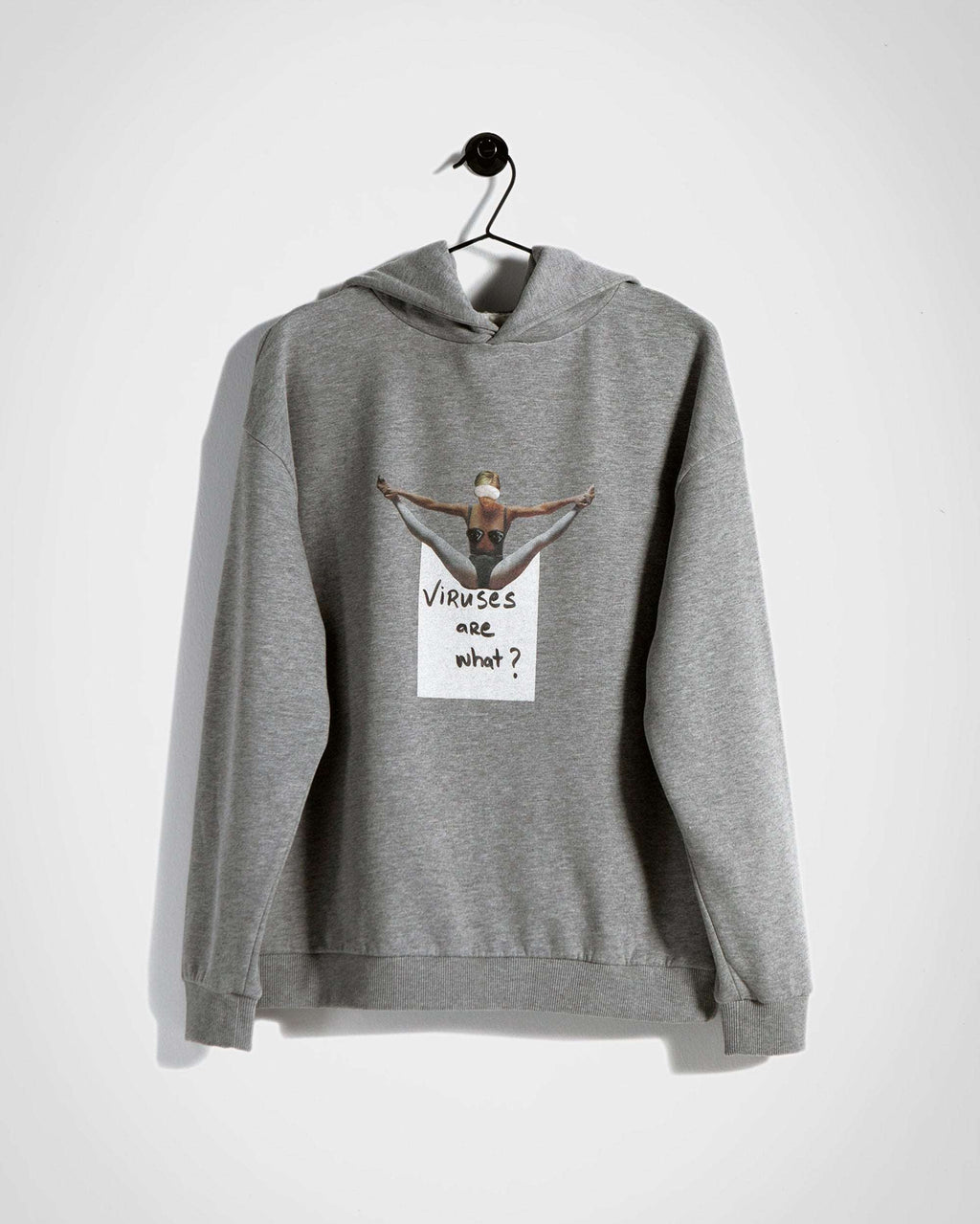 Viruses are what Hoodie / Heavyweight Fleece