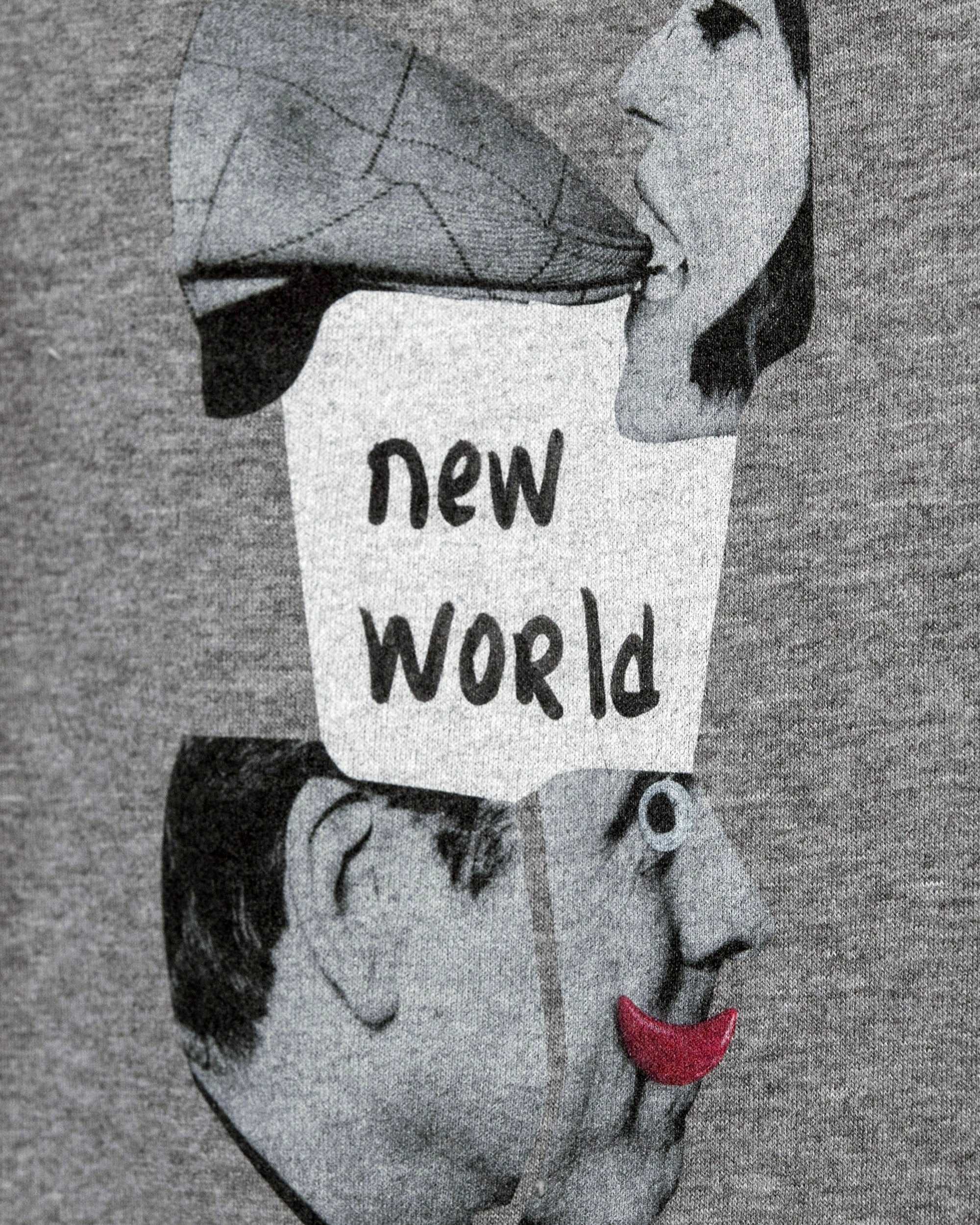 New World Hoodie / Heavyweight Fleece